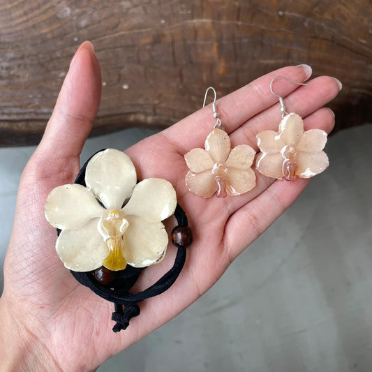 White Vanda Classic Orchid Set