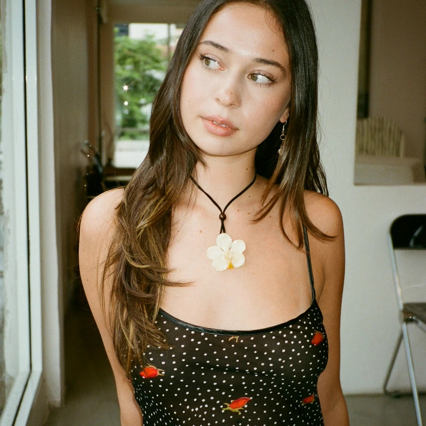 White Vanda Classic Orchid Set