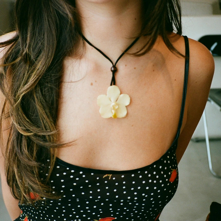 White Vanda Classic Orchid Set